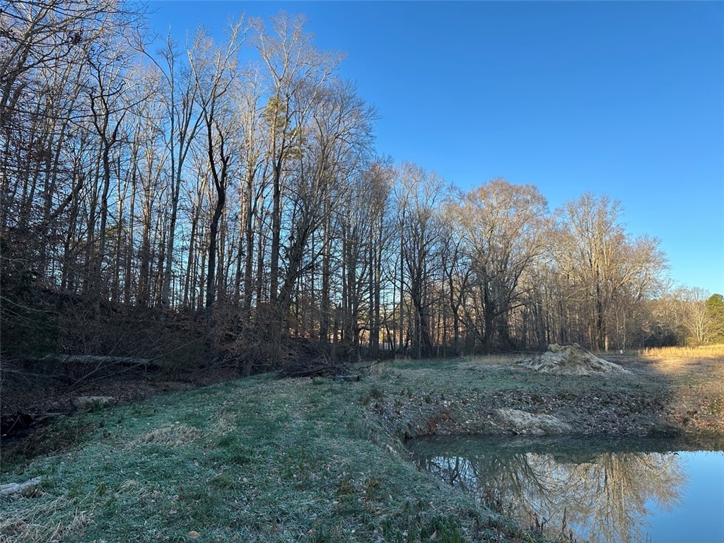 2539 Highway 28/blue Ridge Boulevard Walhalla, SC 29691 - Photo 9 of 36