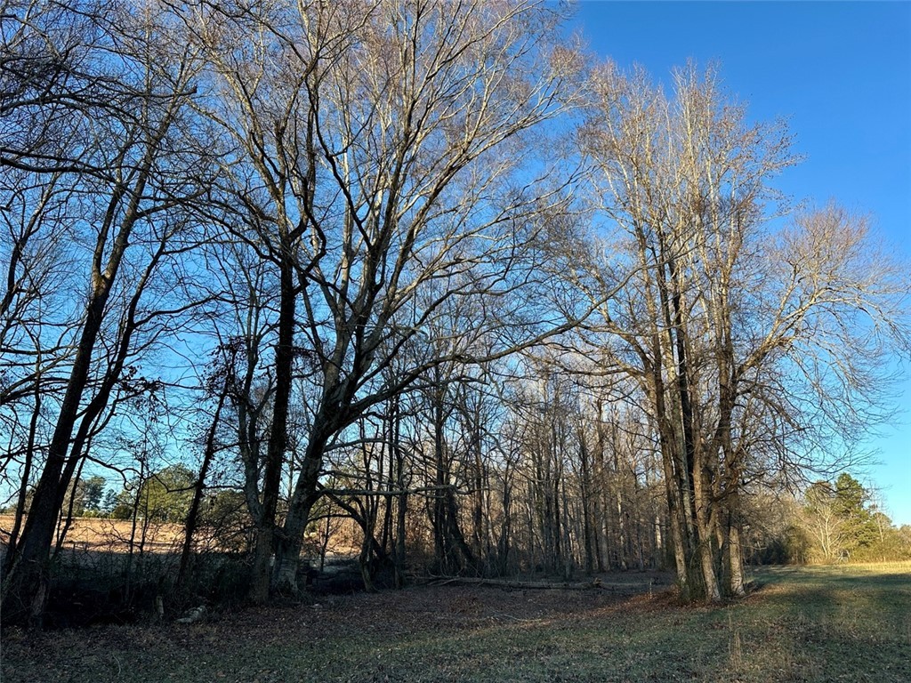 2539 Highway 28/blue Ridge Boulevard Walhalla, SC 29691 - Photo 10 of 36