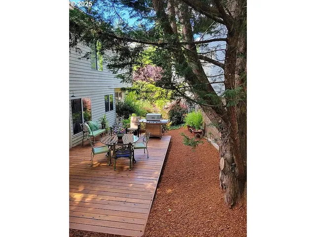 a picture of a yard with plants
