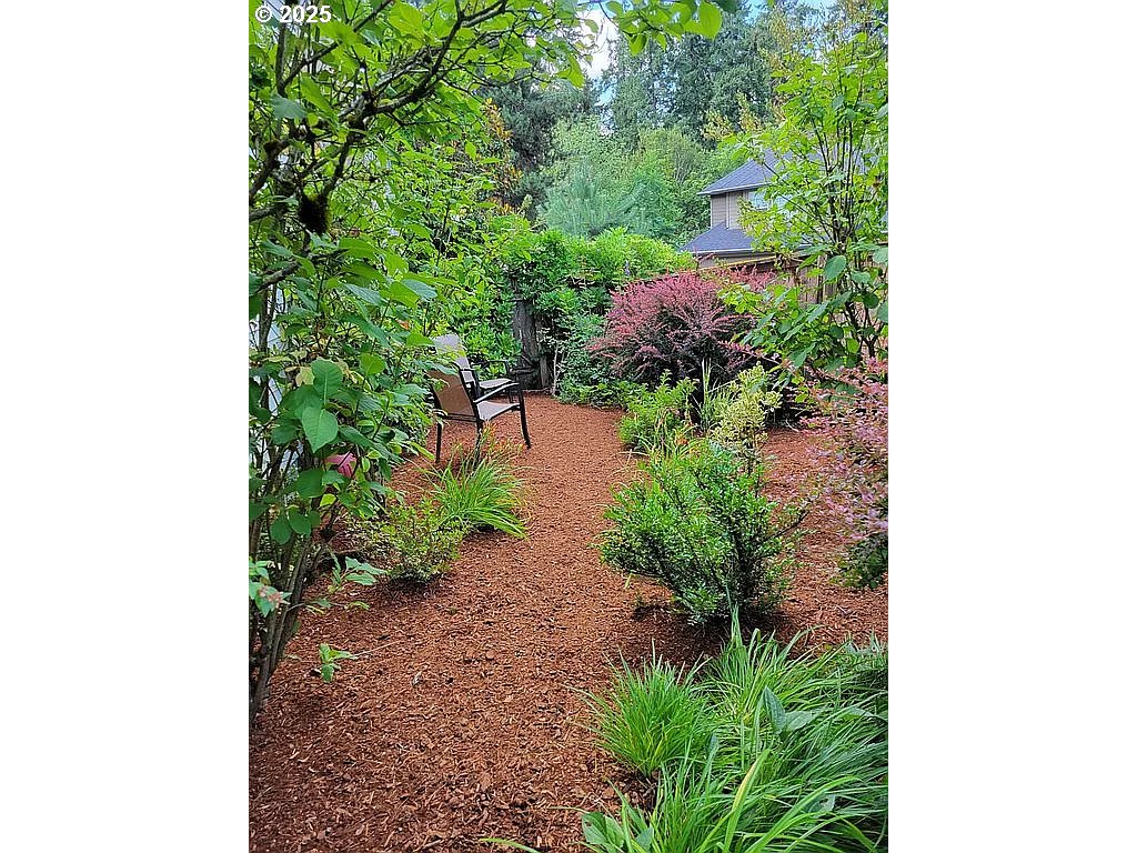 14525 Southwest Chesterfield Lane Portland, OR 97224 - Photo 27 of 31 a picture of a yard with plants