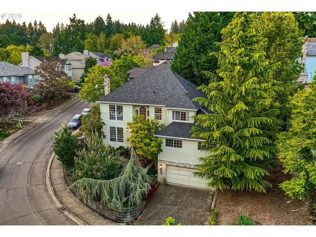a aerial view of a house with a yard and potted plants