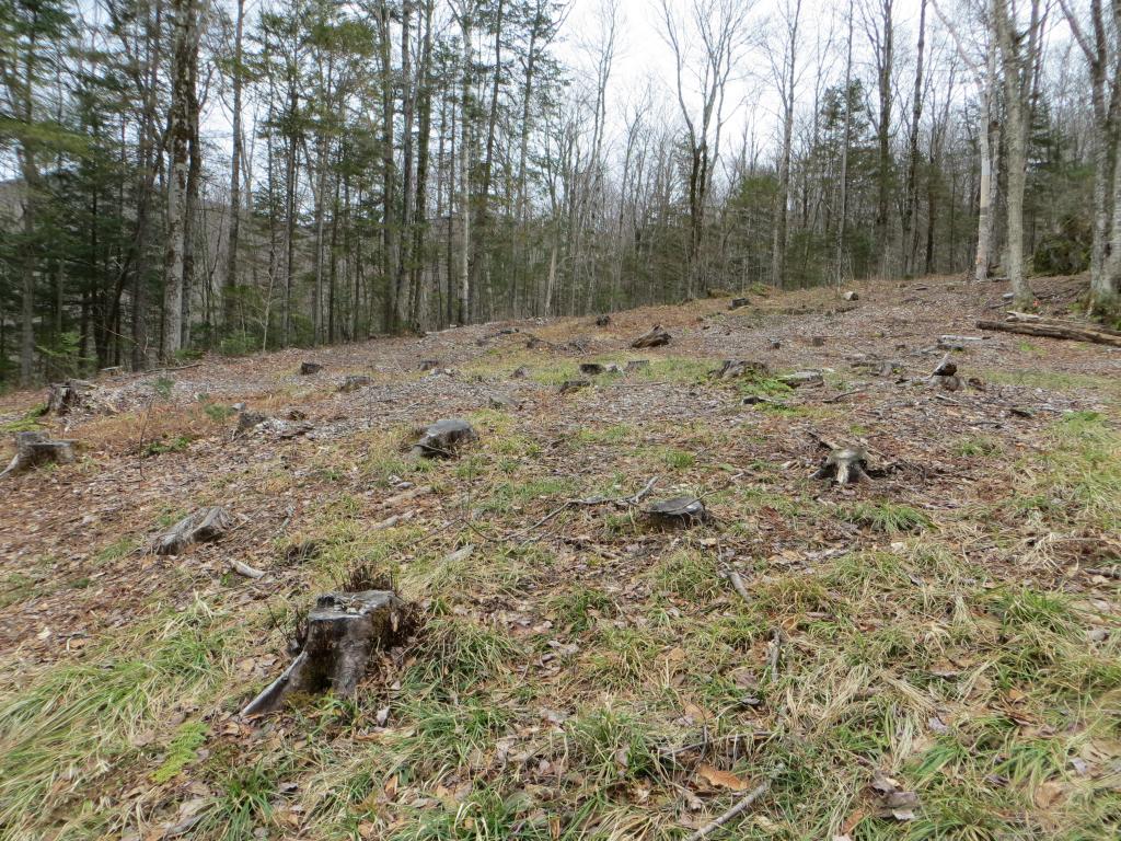 264 Stevensville Road Underhill, VT 05489 - Photo 2 of 11 Gallery Image 2