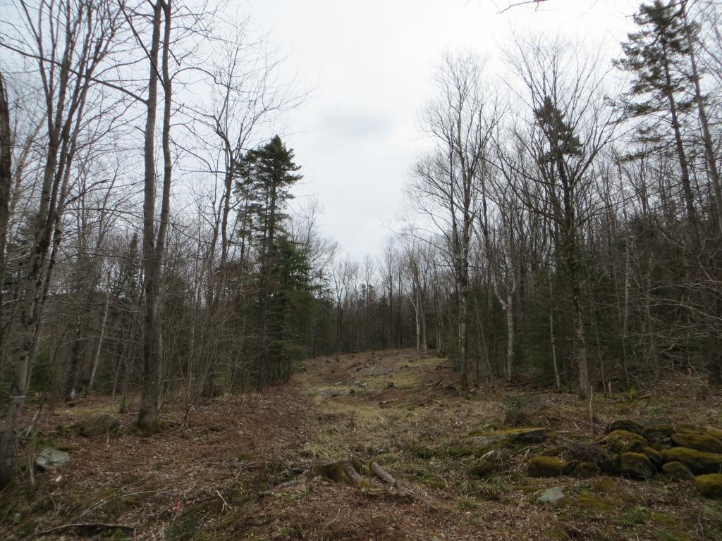 264 Stevensville Road Underhill, VT 05489 - Photo 9 of 11 Gallery Image 9