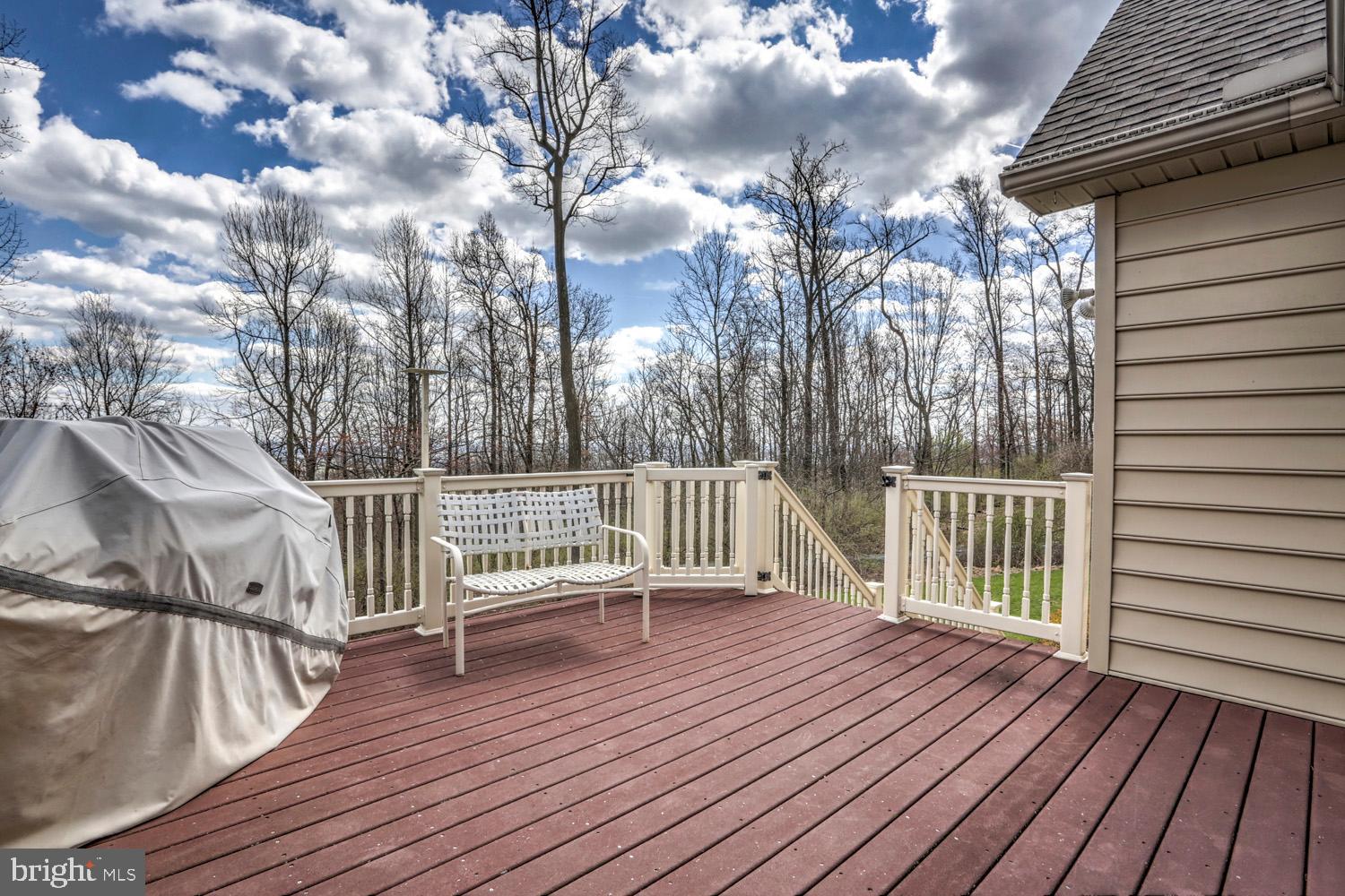 1705 Furnace Hill Road Denver, PA 17517 - Photo 48 of 70 Steps to back yard & screened in porch
