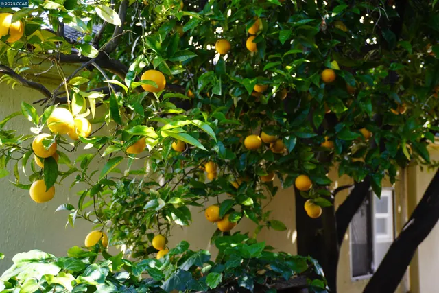 $715,000 | 2645 Maxwell Avenue, Oakland, CA 94619