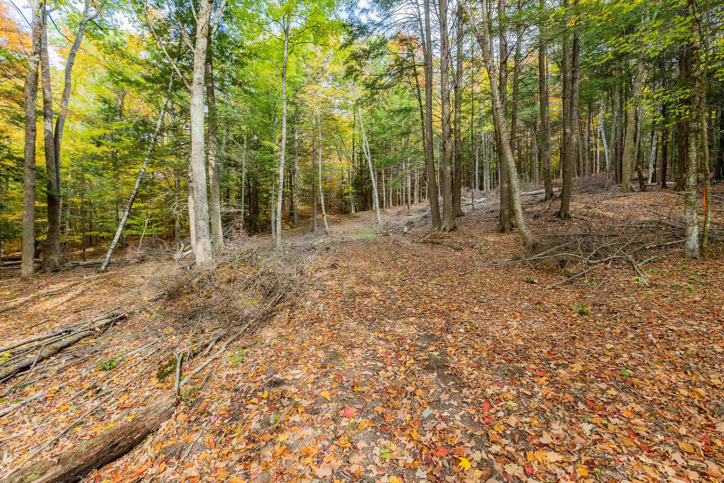 62 Stevens Road Hanover, NH 03755 - Photo 15 of 17