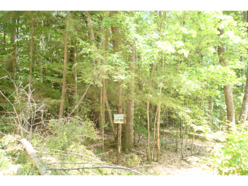 Lot 102 White Birch Road Barnstead, NH 03218 - Photo 1 of 10