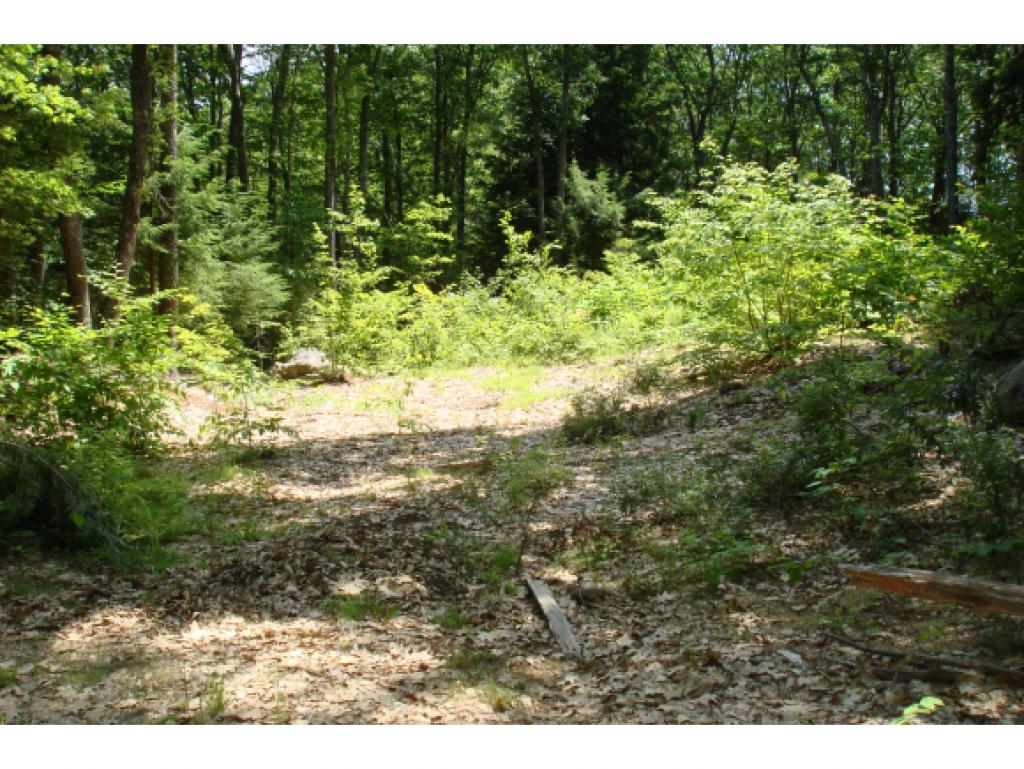 Lot 102 White Birch Road Barnstead, NH 03218 - Photo 2 of 10