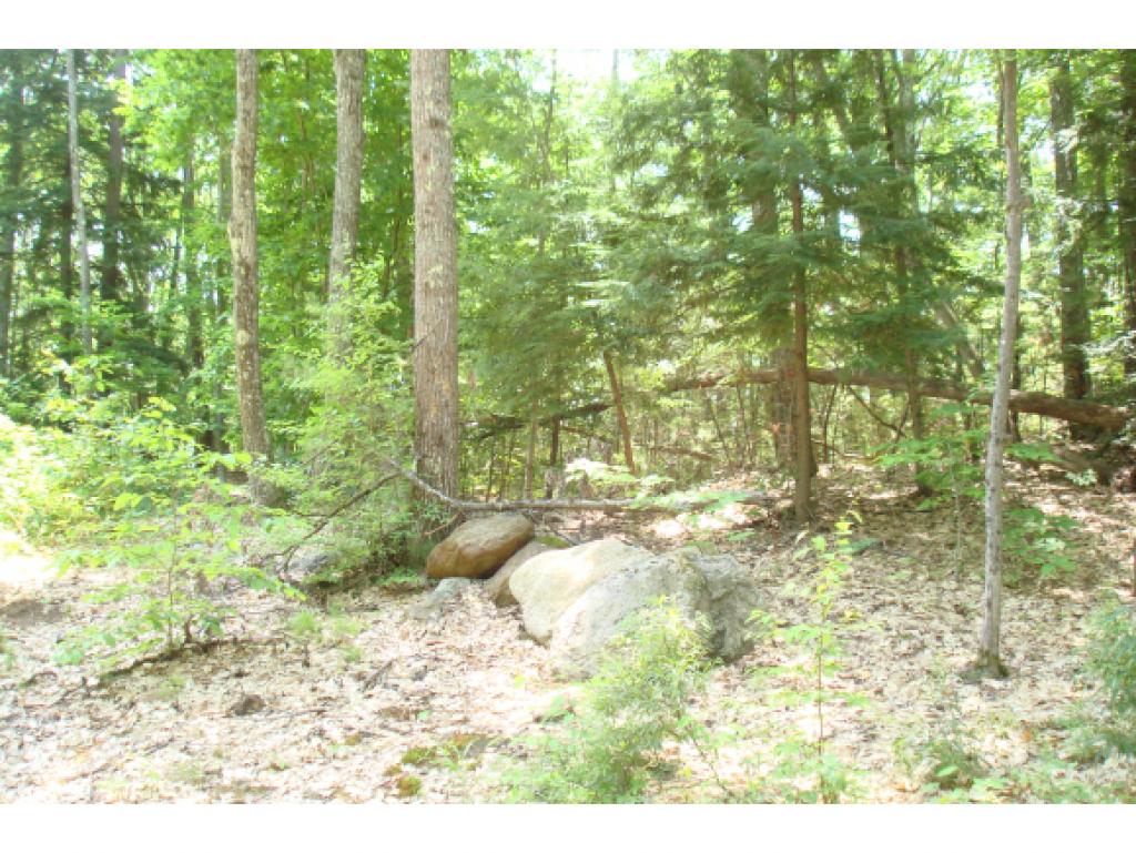 Lot 102 White Birch Road Barnstead, NH 03218 - Photo 3 of 10