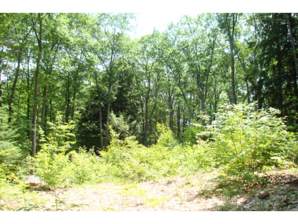 Lot 102 White Birch Road Barnstead, NH 03218 - Photo 4 of 10