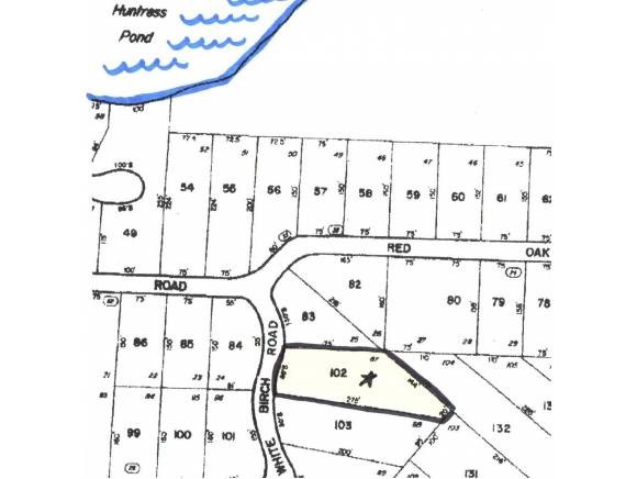 Lot 102 White Birch Road Barnstead, NH 03218 - Photo 10 of 10