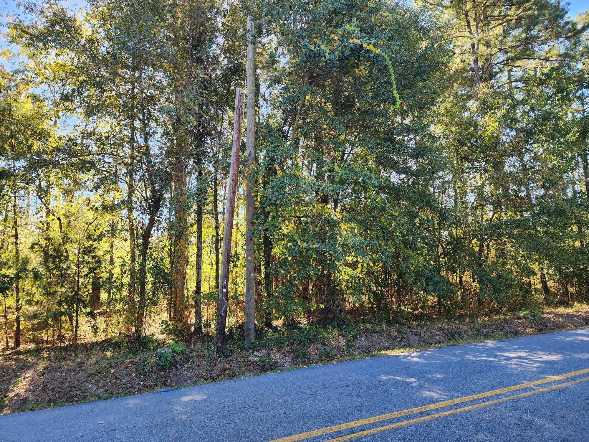 0 Howard Street Wrens, GA 30833 - Photo 6 of 6 20251022_130122