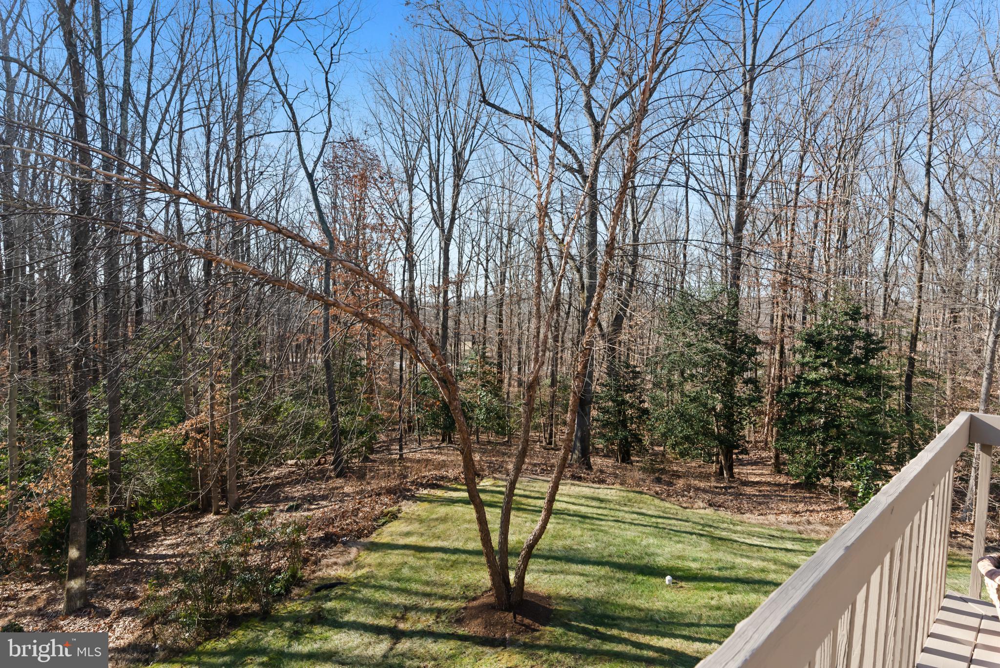 1595 Piscataway Road Crownsville, MD 21032 - Photo 73 of 74 Professional landscaping and lighting