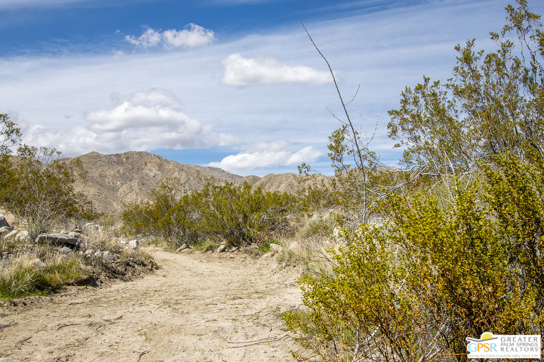 50672 Mecca Road Morongo Valley, CA 92256 - Photo 2 of 17