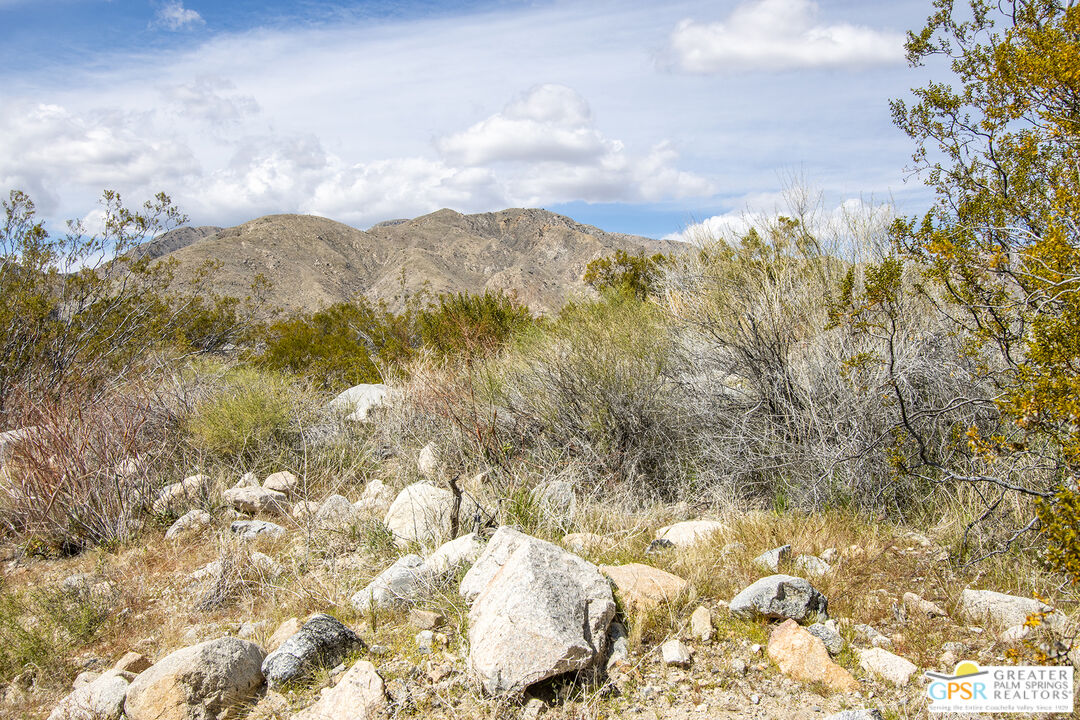 50672 Mecca Road Morongo Valley, CA 92256 - Photo 3 of 17