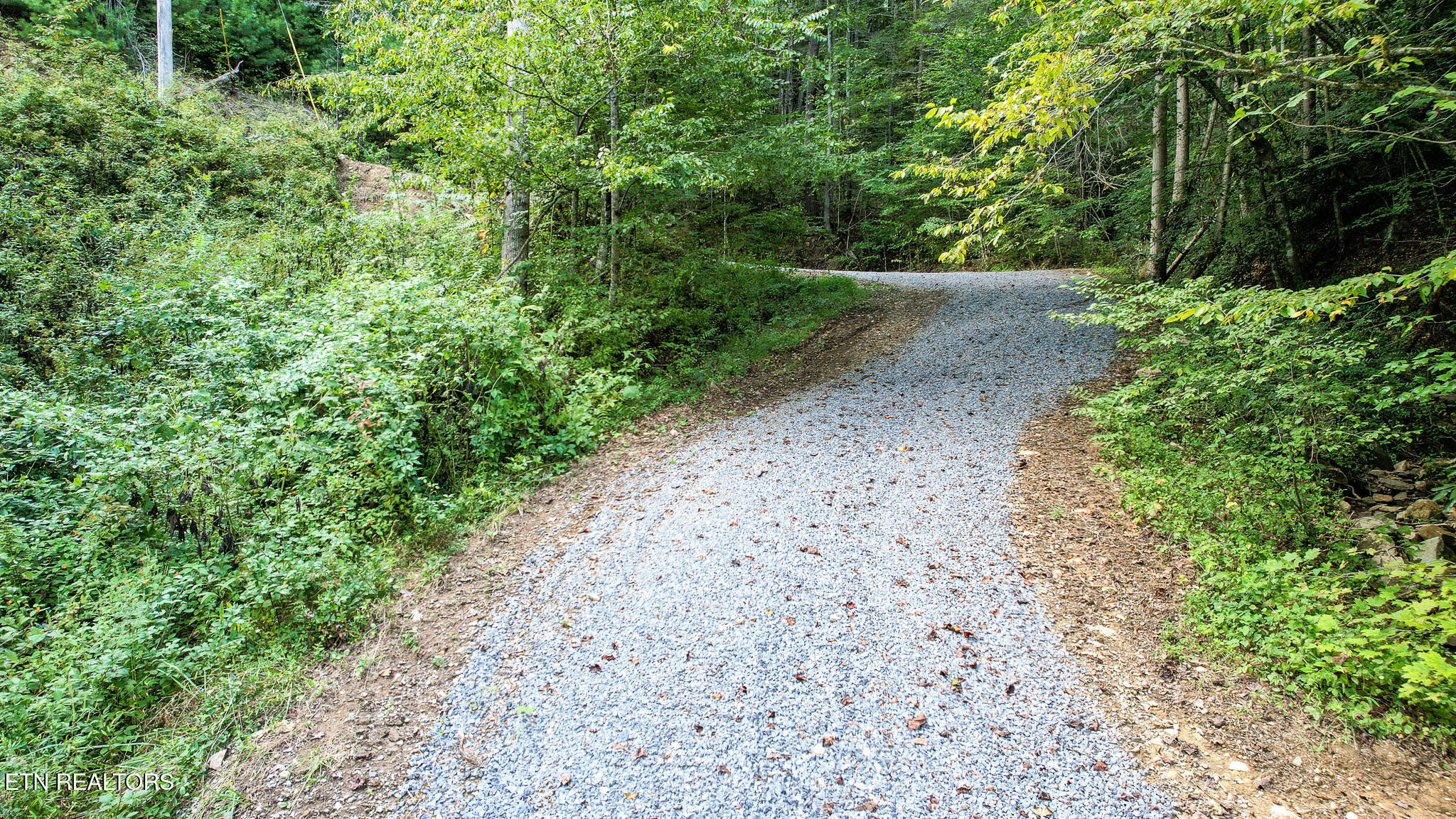 740 Johns Creek Road Del Rio, TN 37727 - Photo 11 of 29 DJI_0426