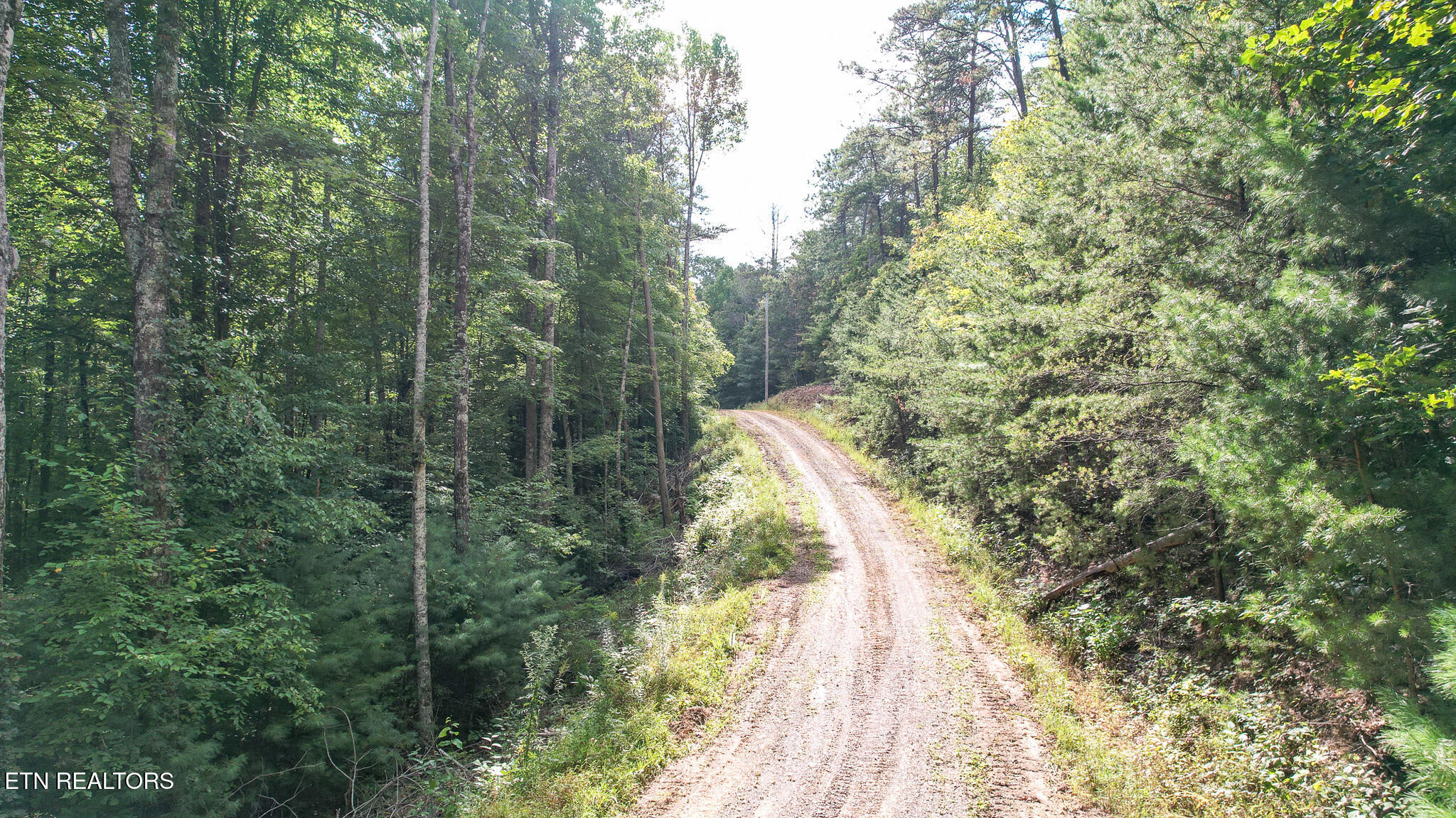 740 Johns Creek Road Del Rio, TN 37727 - Photo 12 of 29 DJI_0431