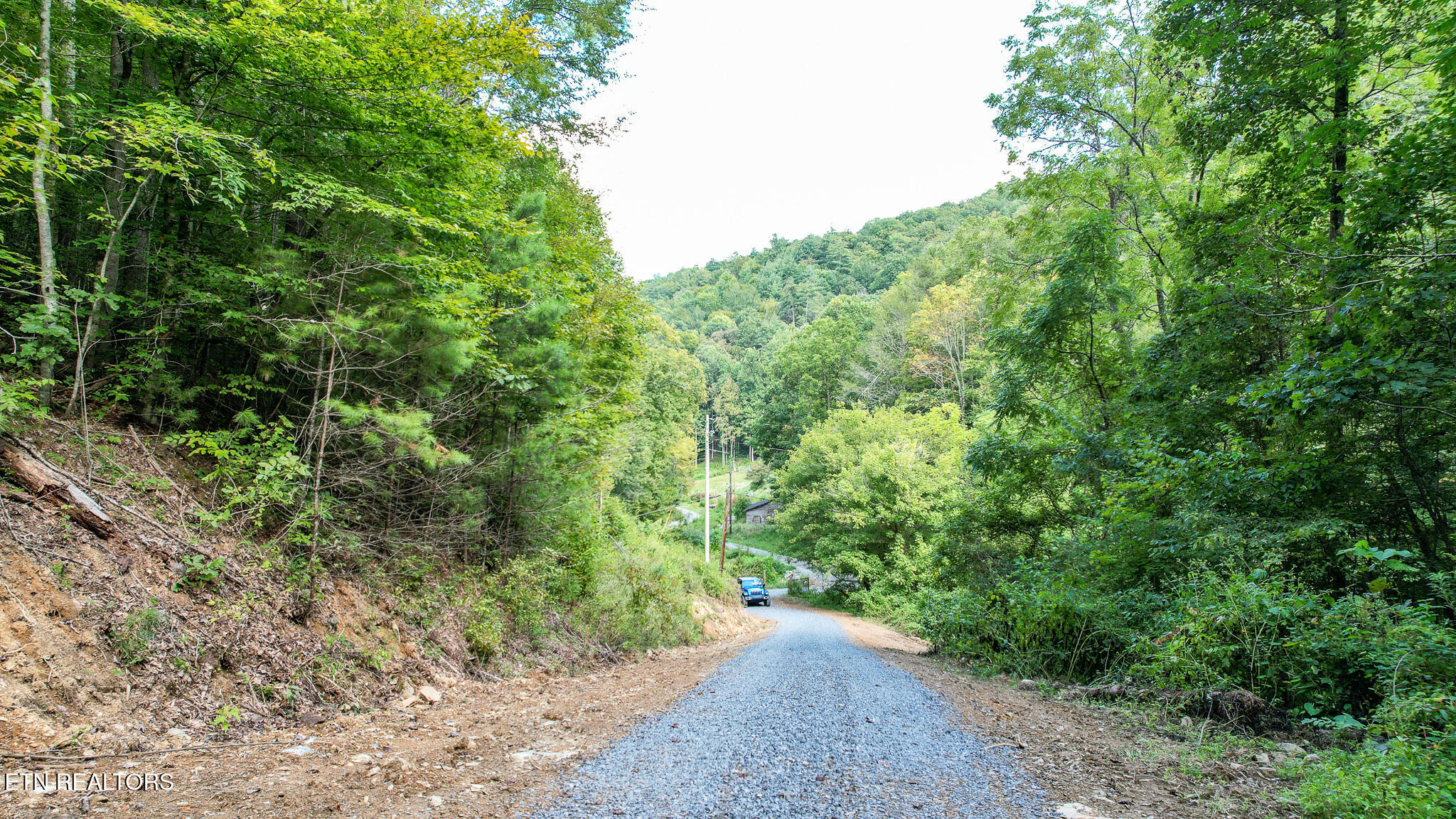 740 Johns Creek Road Del Rio, TN 37727 - Photo 12 of 29 DJI_0427