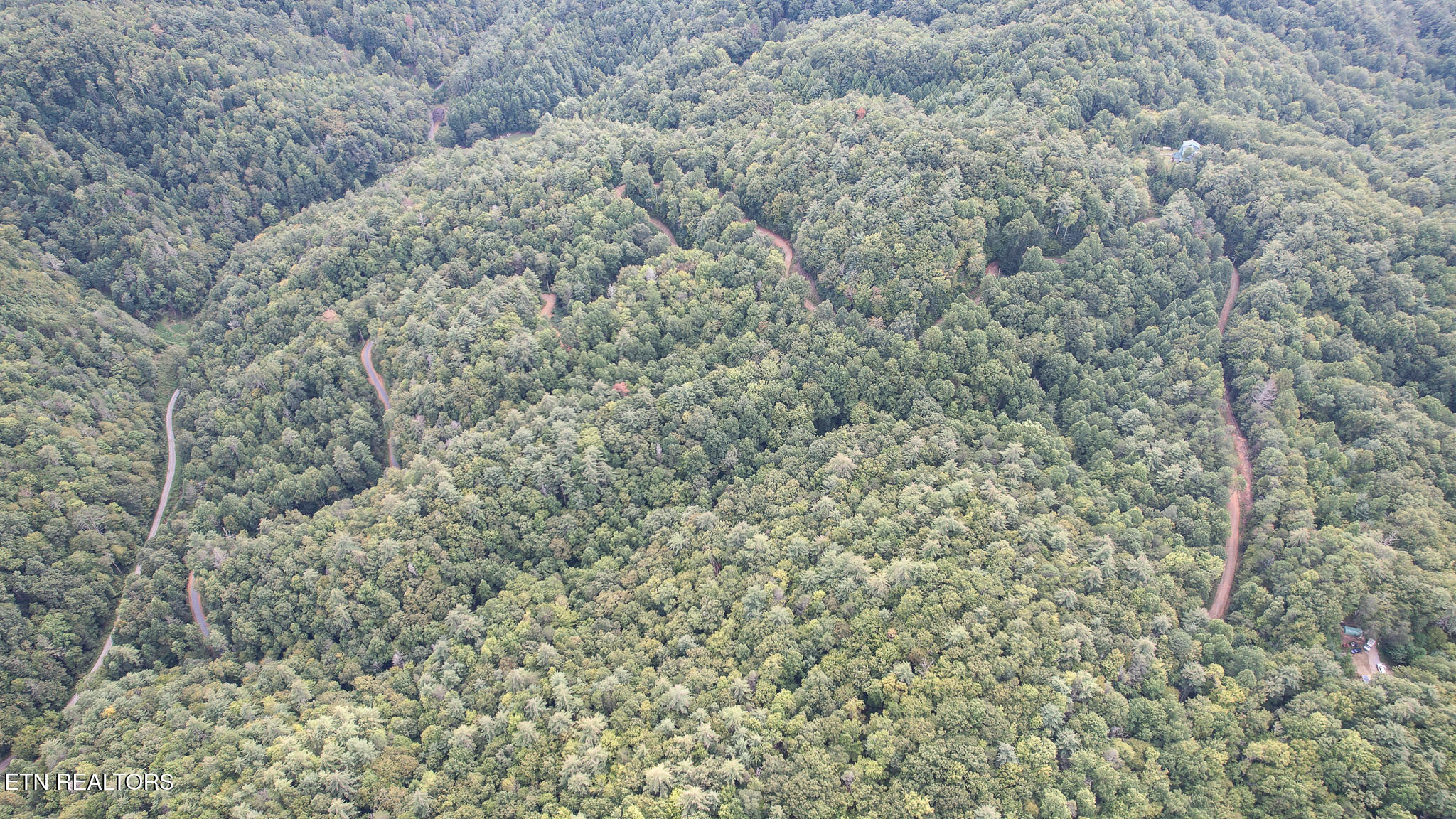 740 Johns Creek Road Del Rio, TN 37727 - Photo 17 of 29 DJI_0436