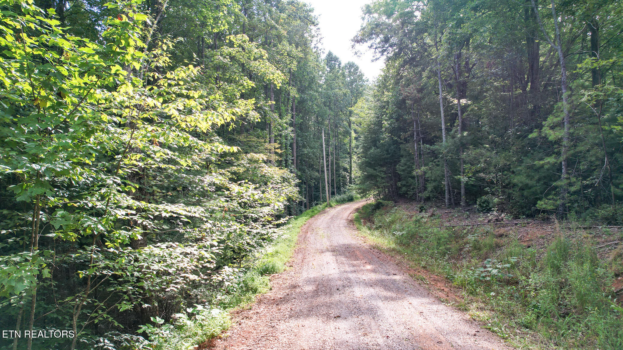 740 Johns Creek Road Del Rio, TN 37727 - Photo 19 of 29 DJI_0451