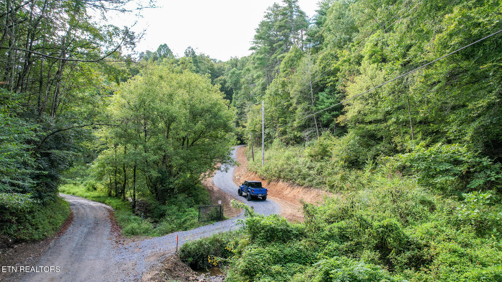 740 Johns Creek Road Del Rio, TN 37727 - Photo 2 of 29 DJI_0401