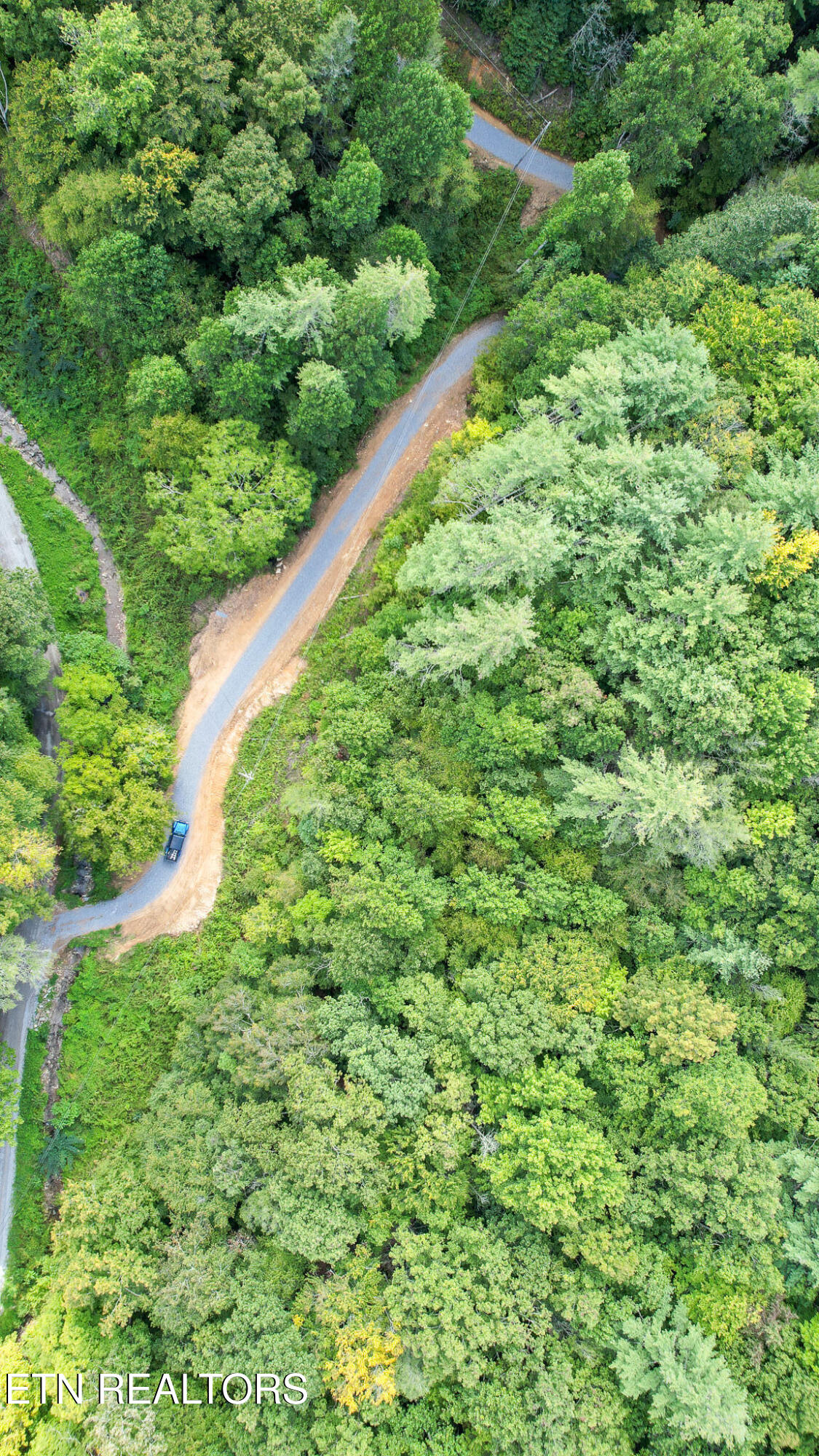 740 Johns Creek Road Del Rio, TN 37727 - Photo 2 of 29 DJI_0403