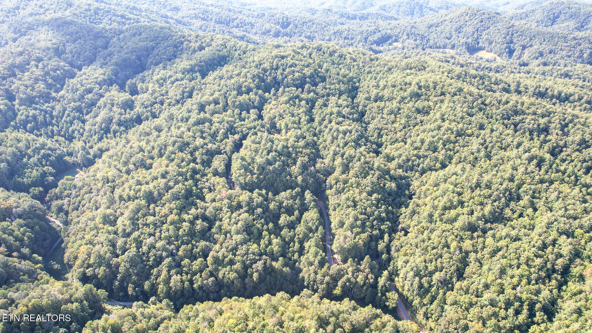 740 Johns Creek Road Del Rio, TN 37727 - Photo 22 of 29 DJI_0461