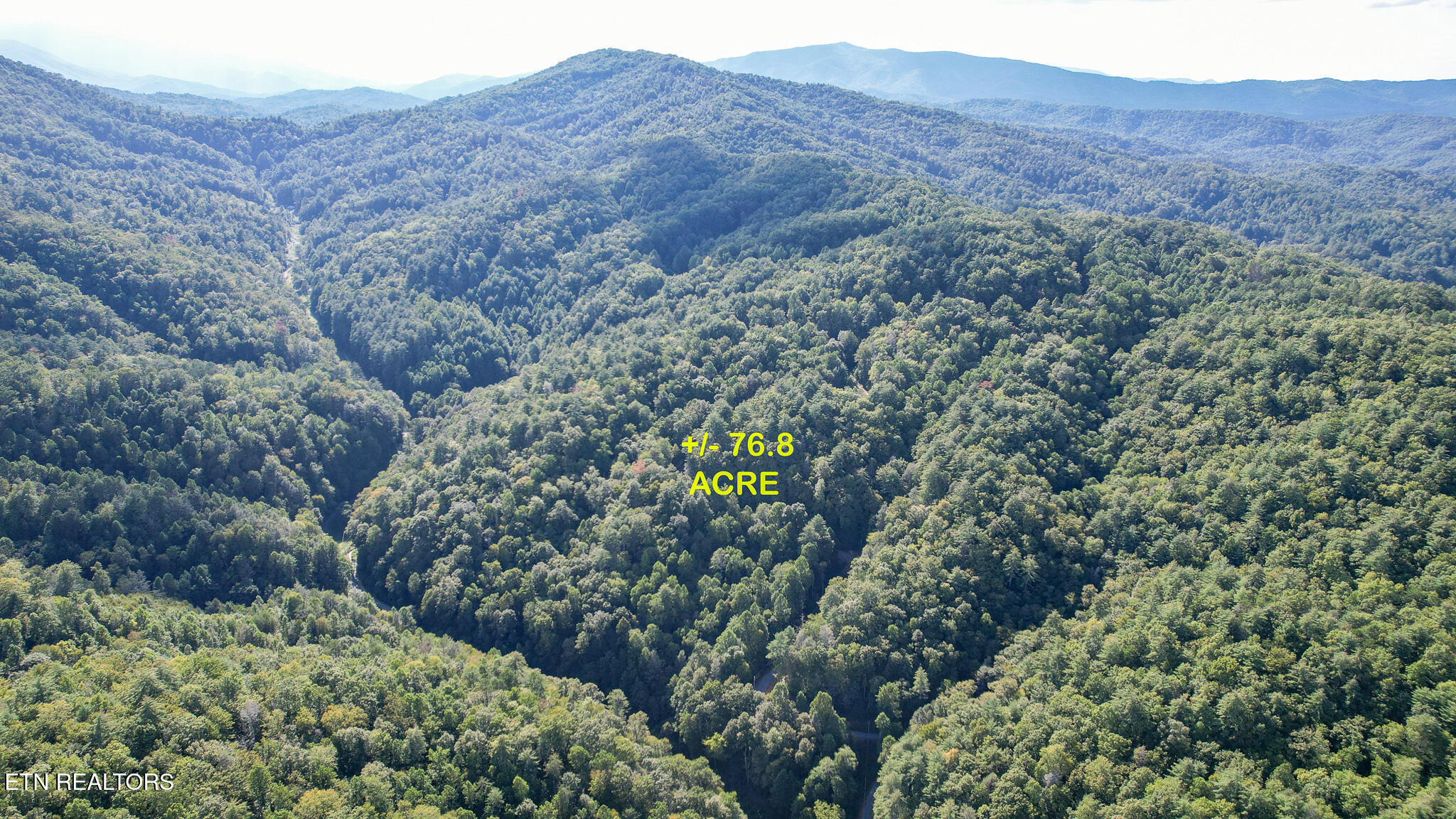 740 Johns Creek Road Del Rio, TN 37727 - Photo 22 of 29 DJI_0463-Edit