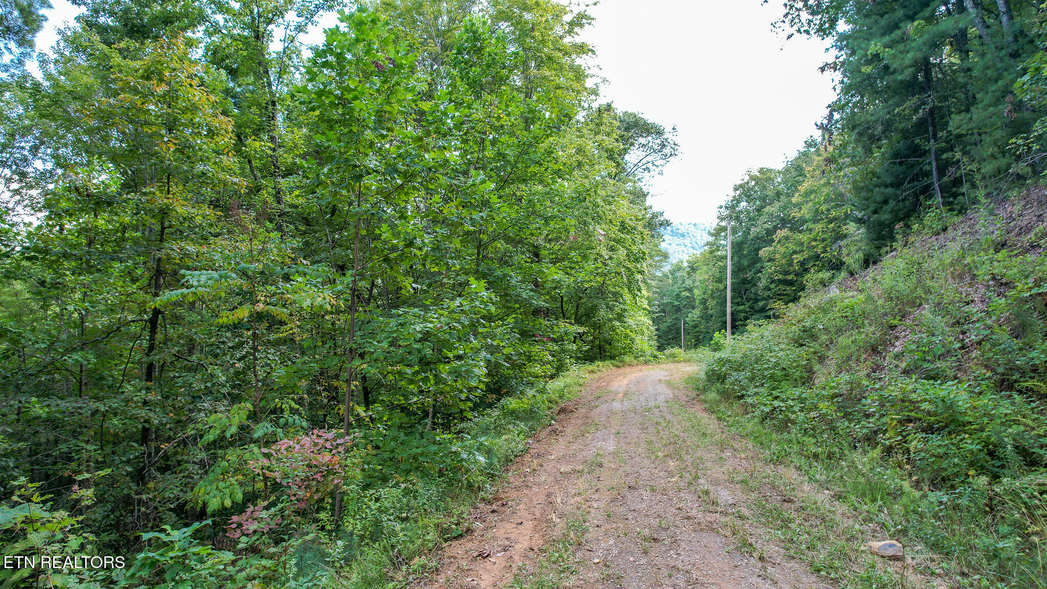 740 Johns Creek Road Del Rio, TN 37727 - Photo 24 of 29 DJI_0455