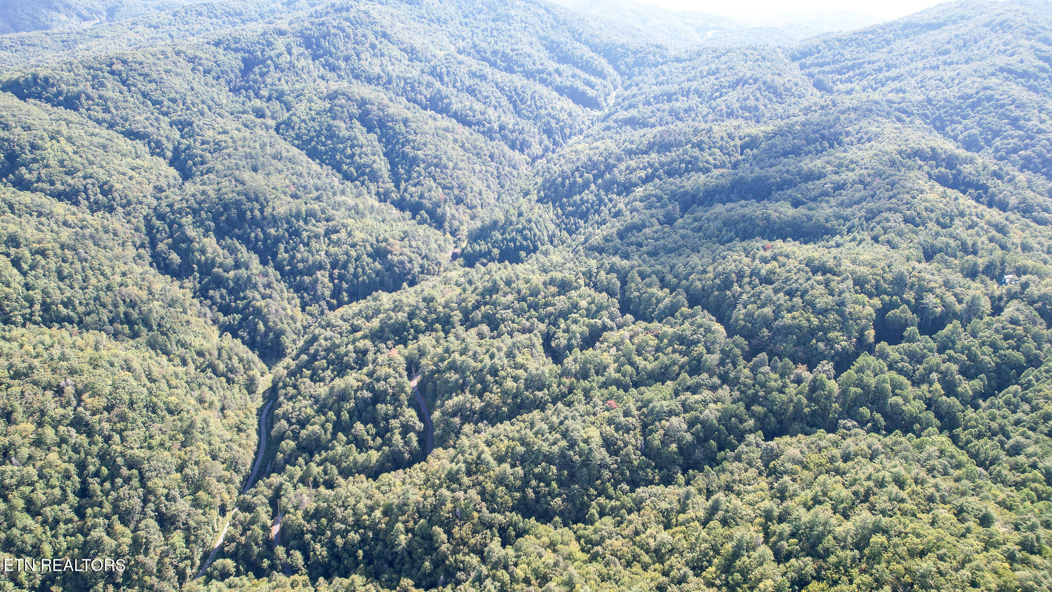 740 Johns Creek Road Del Rio, TN 37727 - Photo 24 of 29 DJI_0467