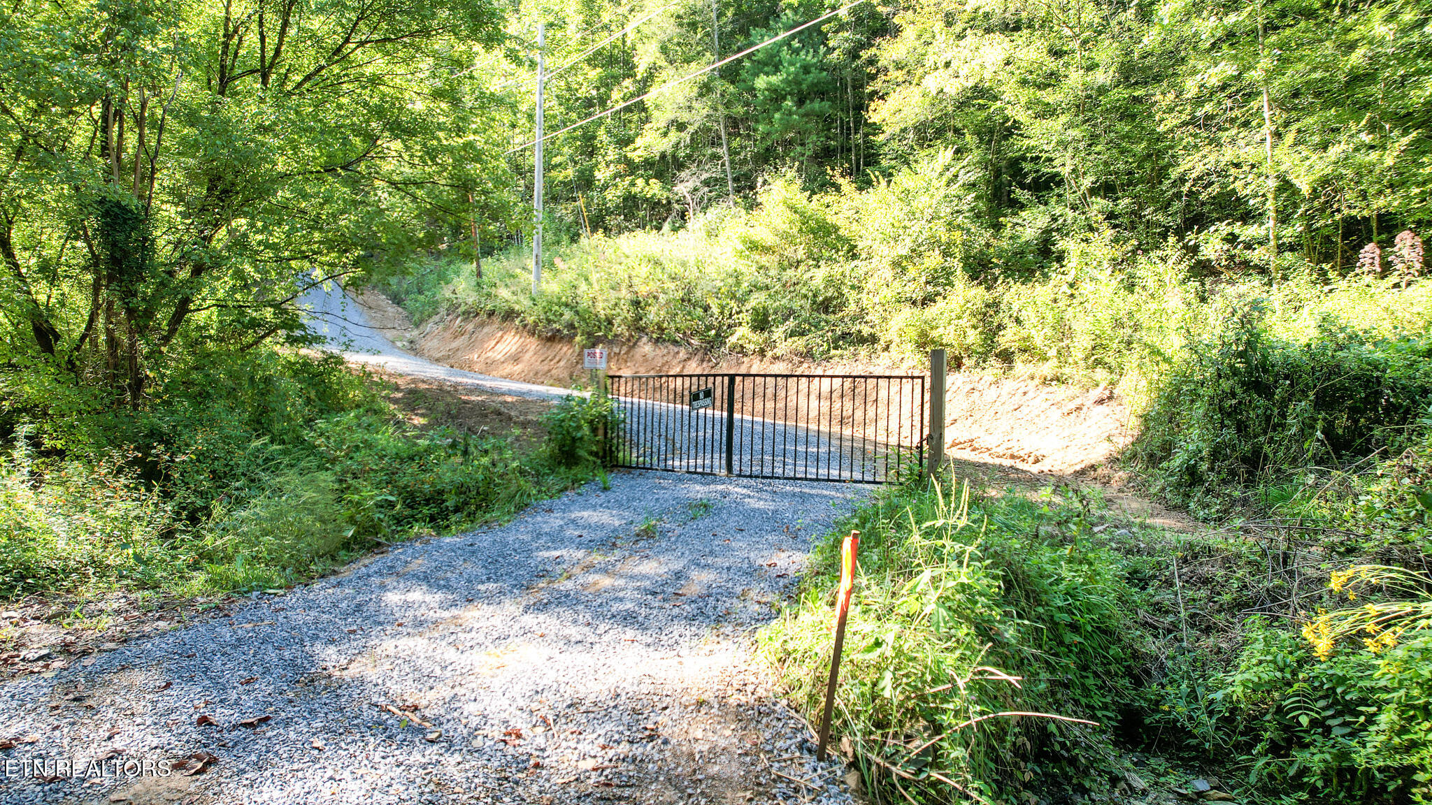 740 Johns Creek Road Del Rio, TN 37727 - Photo 26 of 29 DJI_0481