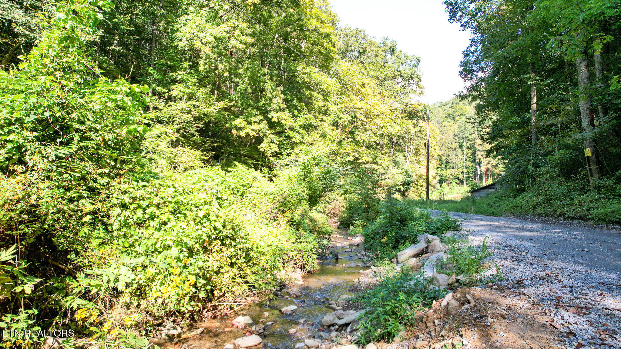 740 Johns Creek Road Del Rio, TN 37727 - Photo 27 of 29 DJI_0480