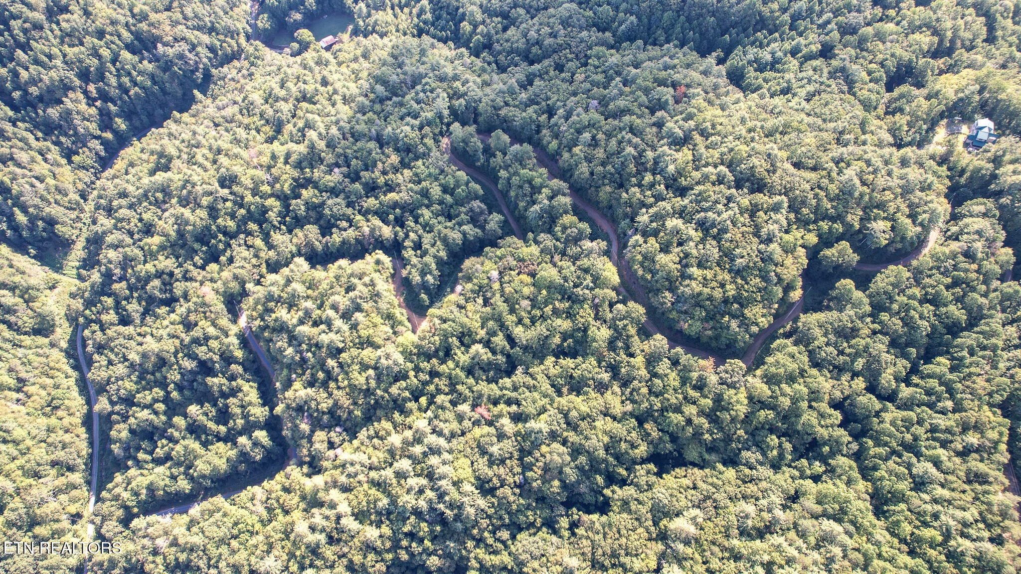 740 Johns Creek Road Del Rio, TN 37727 - Photo 28 of 29 DJI_0469