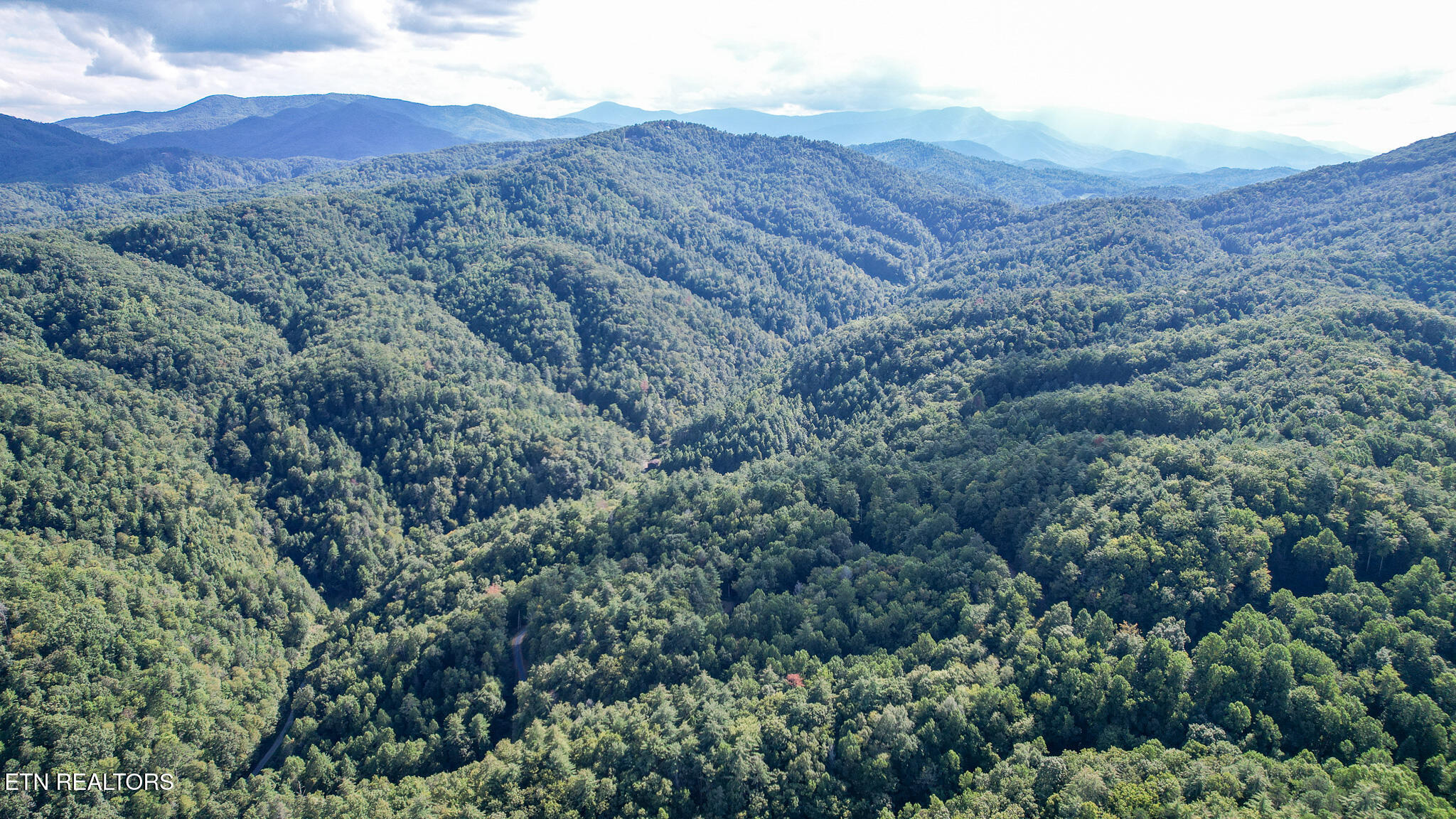 740 Johns Creek Road Del Rio, TN 37727 - Photo 29 of 29 DJI_0473