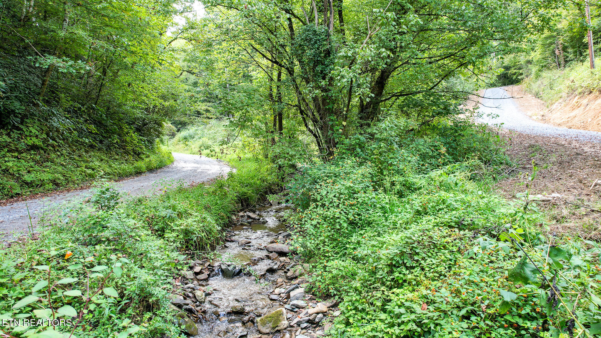 740 Johns Creek Road Del Rio, TN 37727 - Photo 4 of 29 DJI_0397