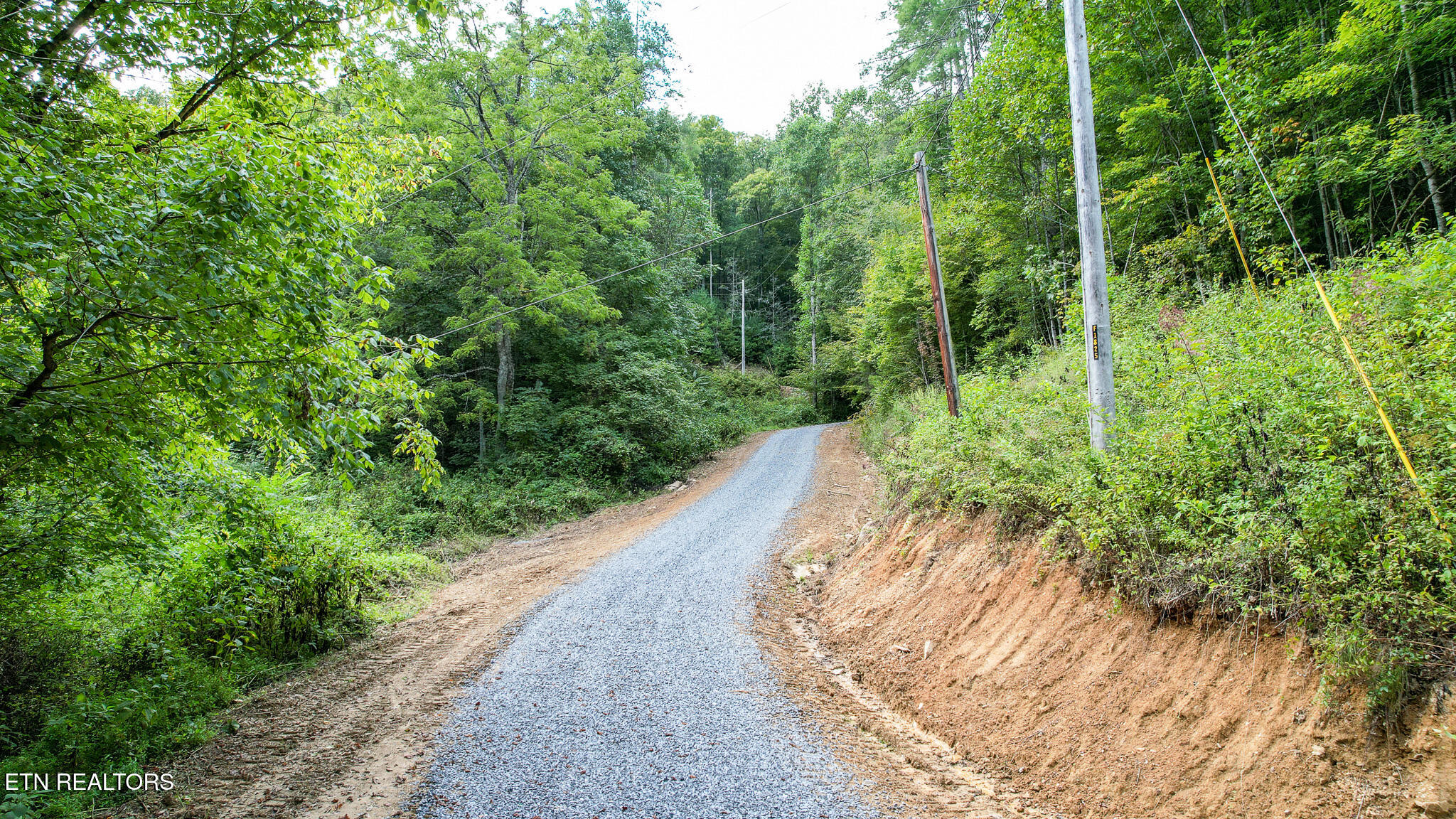 740 Johns Creek Road Del Rio, TN 37727 - Photo 5 of 29 DJI_0396