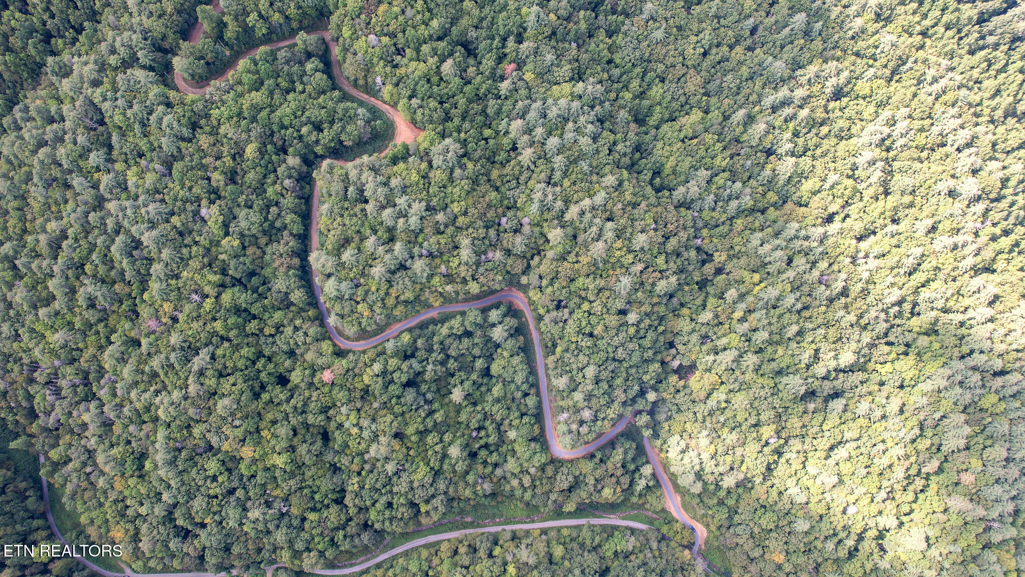 740 Johns Creek Road Del Rio, TN 37727 - Photo 7 of 29 DJI_0407