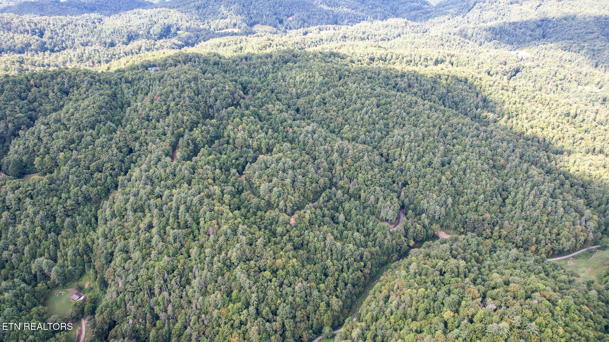 740 Johns Creek Road Del Rio, TN 37727 - Photo 8 of 29 DJI_0412