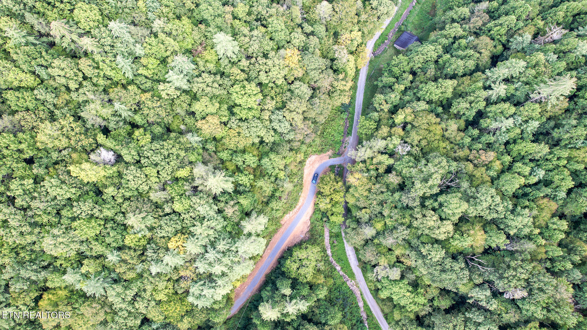 740 Johns Creek Road Del Rio, TN 37727 - Photo 8 of 29 DJI_0424