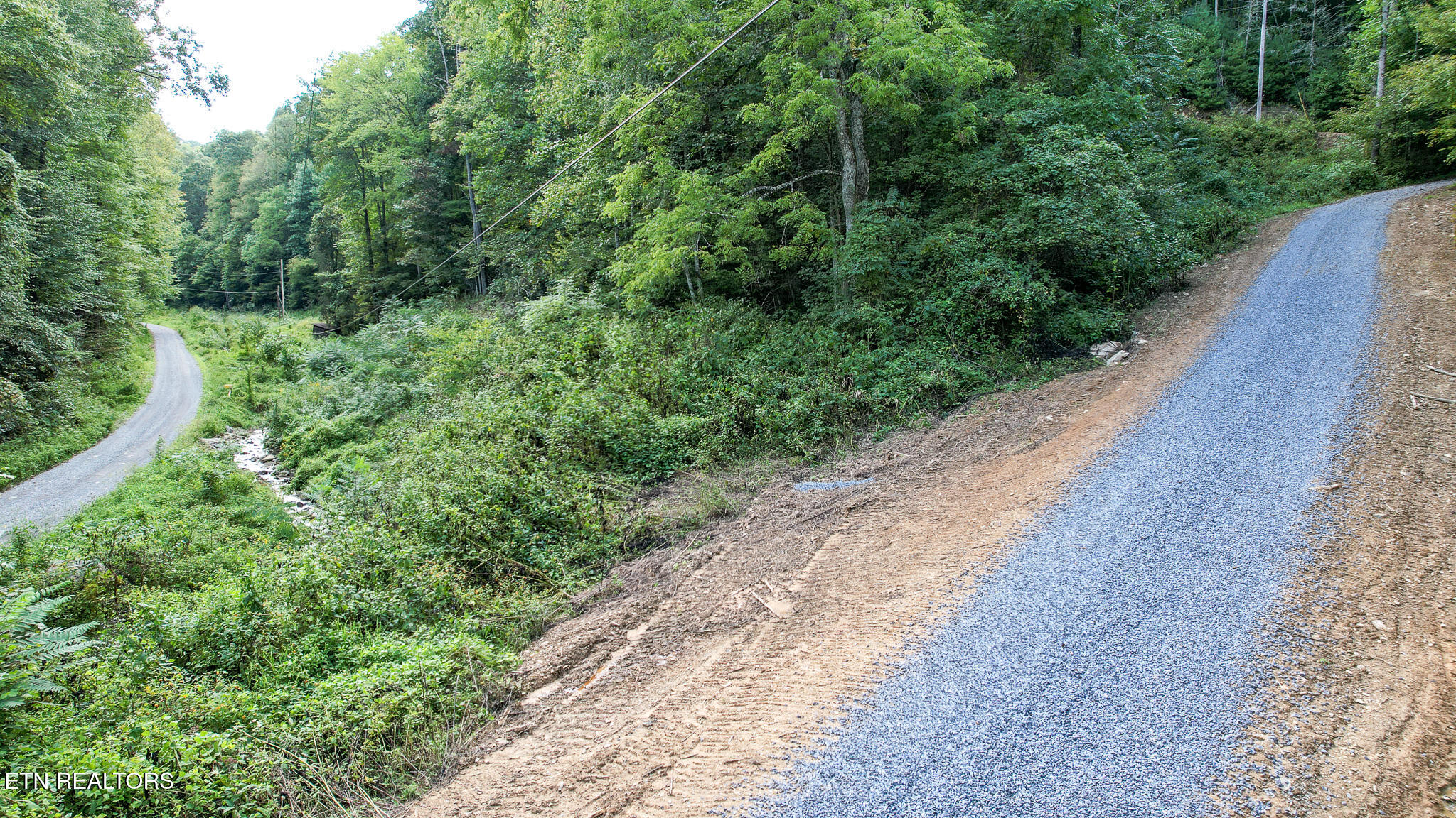 740 Johns Creek Road Del Rio, TN 37727 - Photo 9 of 29 DJI_0425