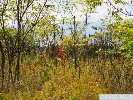 132 Lockwood Road Hudson, NY 12534 - Photo 7 of 16 Photo 7