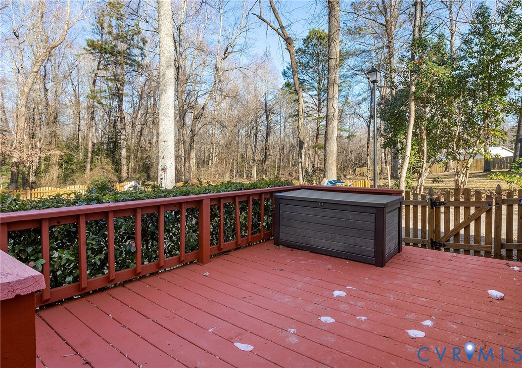 2917 Speeks Drive Midlothian, VA 23112 - Photo 22 of 28