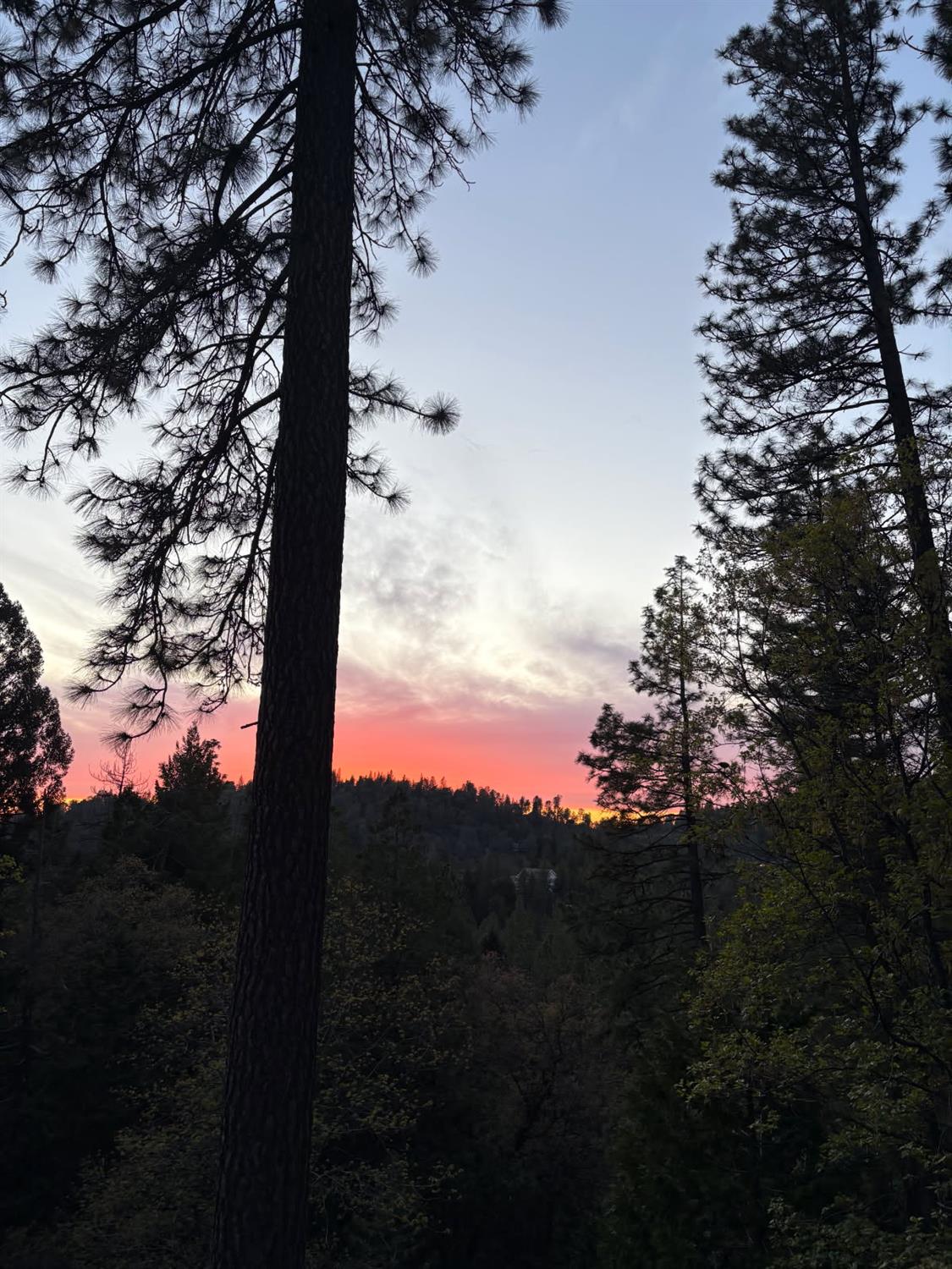 5015 Shooting Star Road Pollock Pines, CA 95726 - Photo 30 of 32