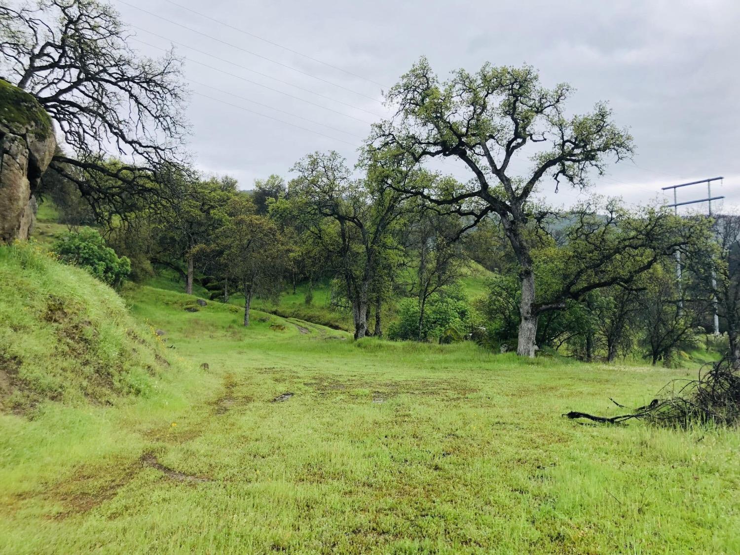 369 August Drive Three Rivers, CA 93271 - Photo 3 of 12 a tall tree in middle of green field