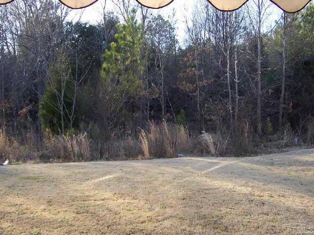2027 Groundwater Place Raleigh, NC 27610 - Photo 3 of 10 Gallery Image 3