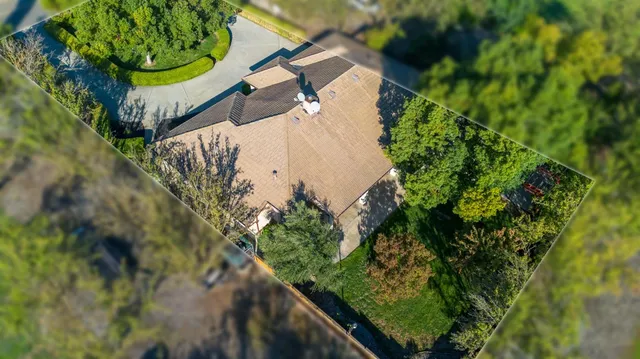 a view of a plant in a garden