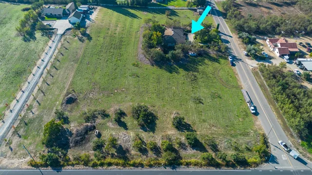 a view of banana tree