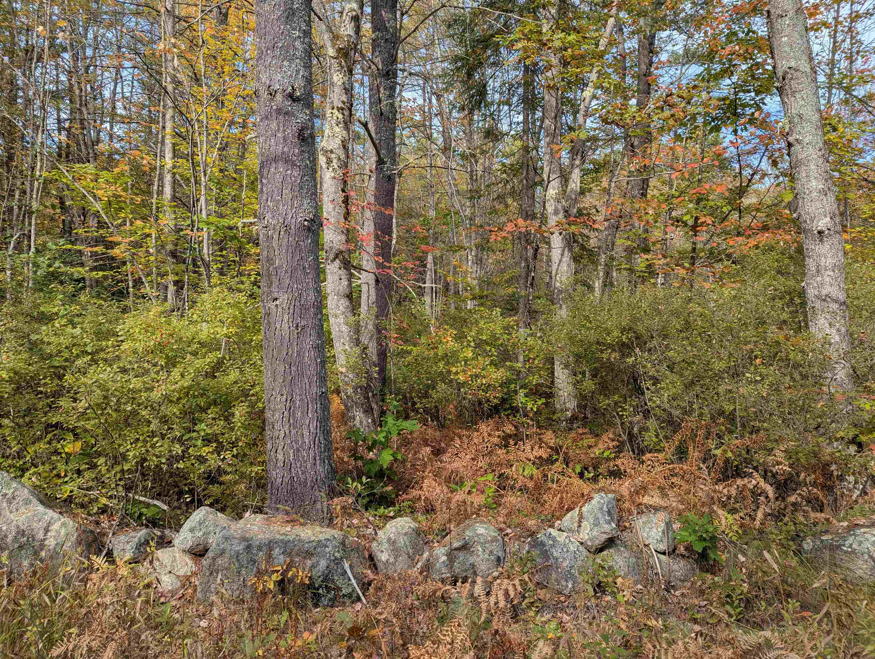 113 Jones Road Effingham, NH 03882 - Photo 3 of 8 Gallery Image 3