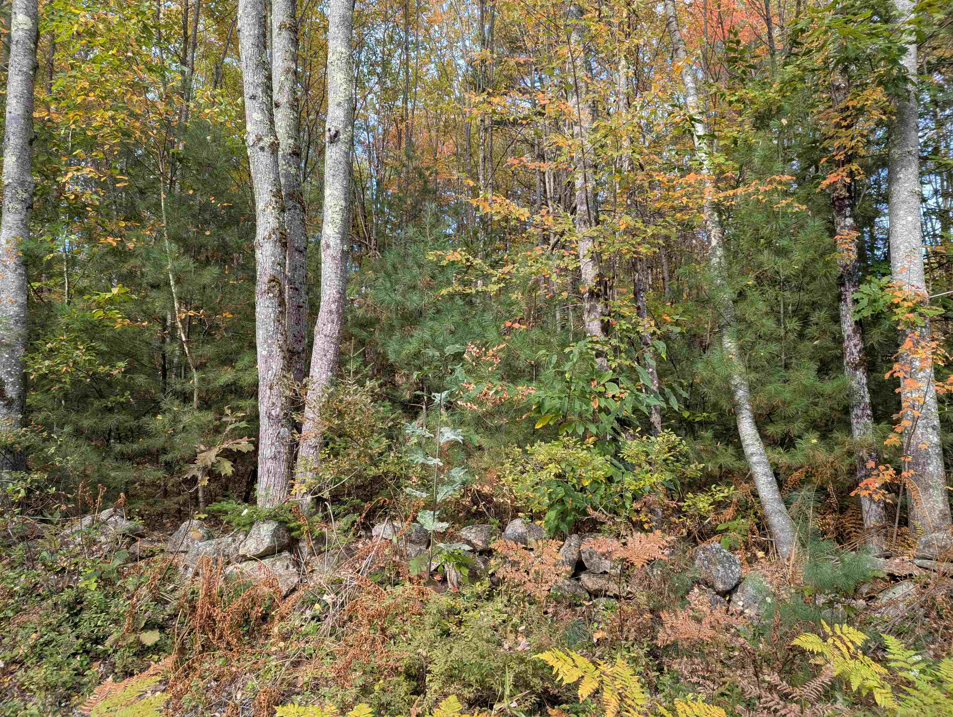 113 Jones Road Effingham, NH 03882 - Photo 4 of 8 Gallery Image 4
