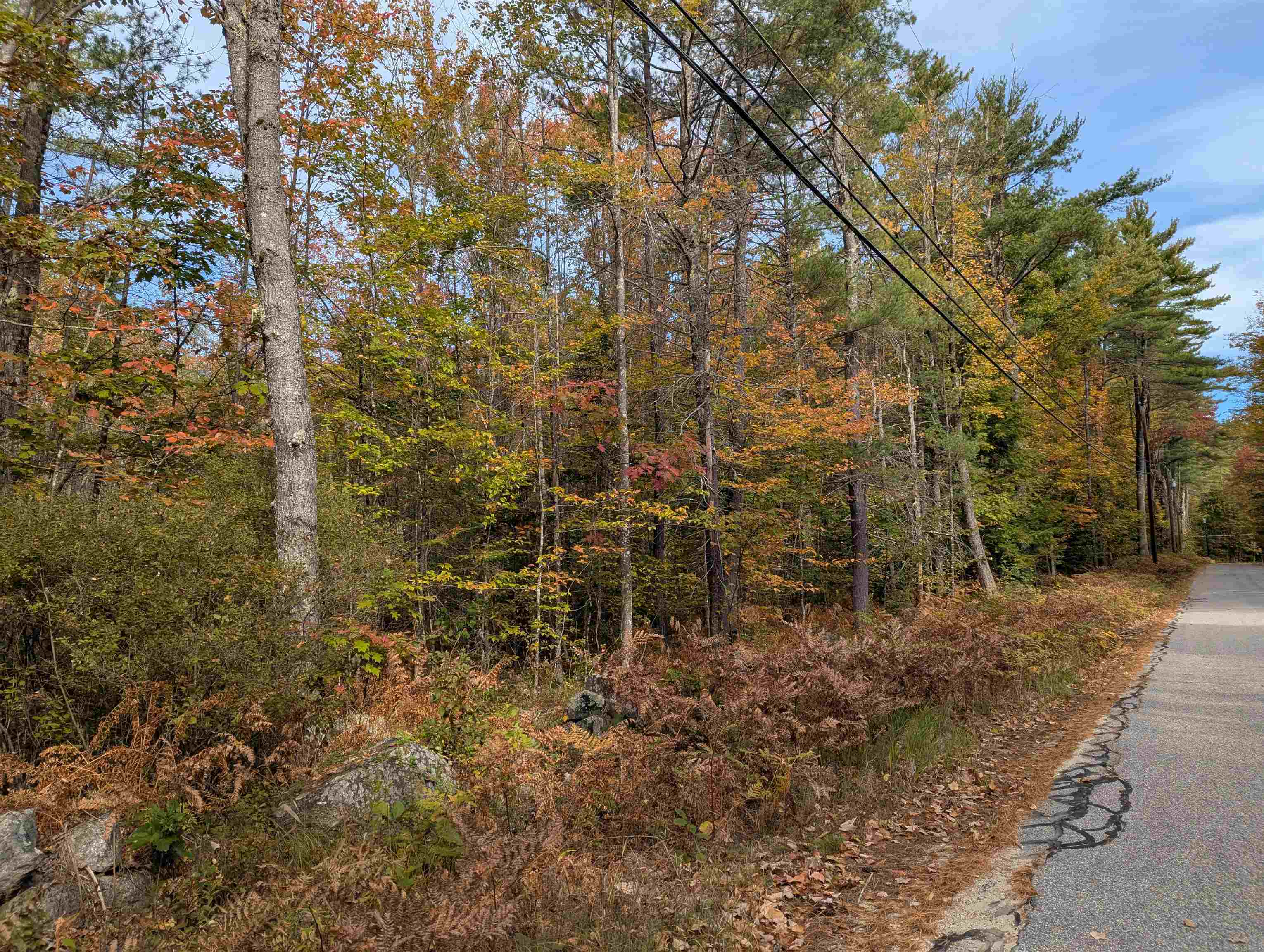 113 Jones Road Effingham, NH 03882 - Photo 5 of 8 Gallery Image 5